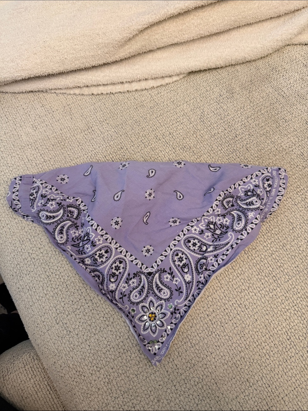 Robin Piccone Lavender Paisley Bandana Bikini Top